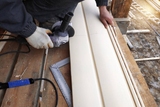 Best Composite Siding  in Coal City, IL