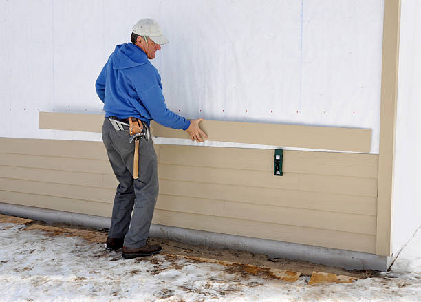 Best Insulated Siding Installation  in Coal City, IL